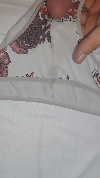 I Ejaculate Into the Panties My Wife Is Going to Wear While She Is in the Bathroom.