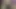 Dasi bahbi ko akele pela ajj