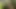 Please help me in my garden!