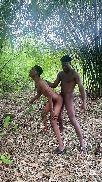 Pengembaraan, Seks Pandangan Penuh Segala-galanya