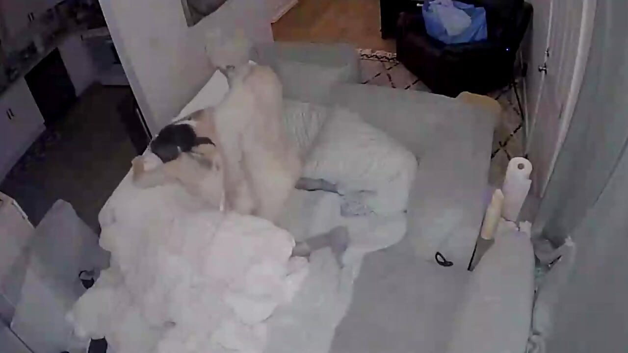 Sluttypebbles Squirts on Modelo