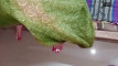 Pregled videozapisa
