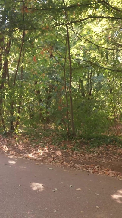 公園で見知らぬ人の大きなチンポをしゃぶった 危険な屋外セックス |クリップ2