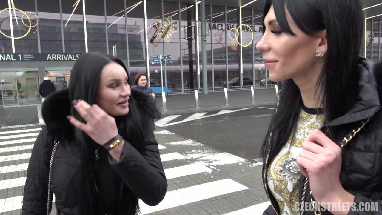 チェコの街 - ディックスとひよこ