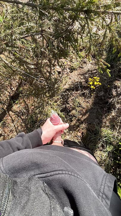 Jerk off in the forest