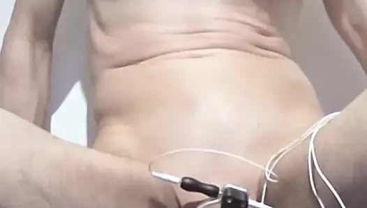 Yavru, Electrosex tarafından sağılır ve patlayana kadar