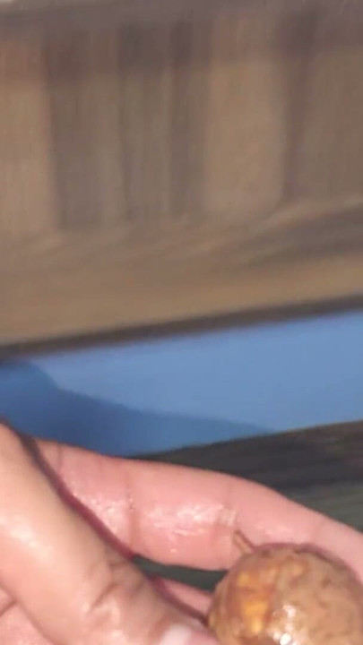 My owner further ruins my asshole and eats chocolate from it | Clip 1