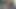 Kadın külotunda korkak kaltak, gafını ve taşaklarını gösteriyor.