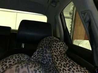 Enrobage de léopard dans la voiture