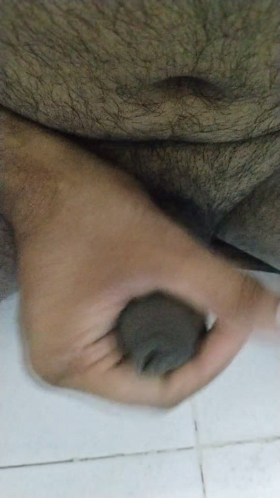 hindi