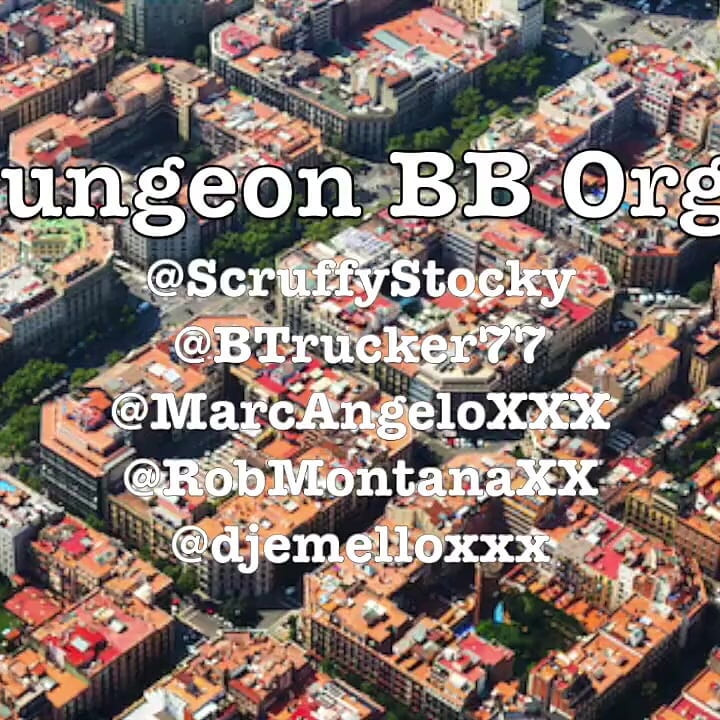Bbb: 5 Bareback Bears in Barcelona