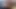 Katie Morgan und Ziggy Star lecken lesbische Muschis