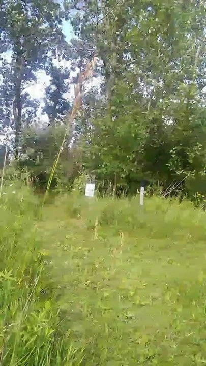 Pris à poil en public