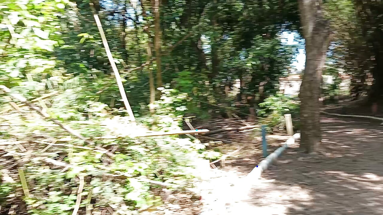 Išao sam u park sa rafinhom