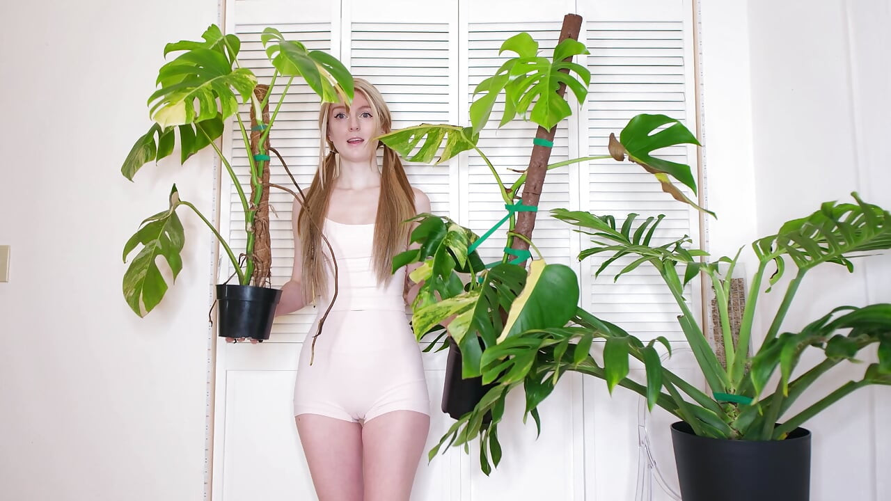 Plantas de julio