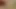 Turkish big cock daddy bareback on mirror.