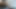 Latin trib 2