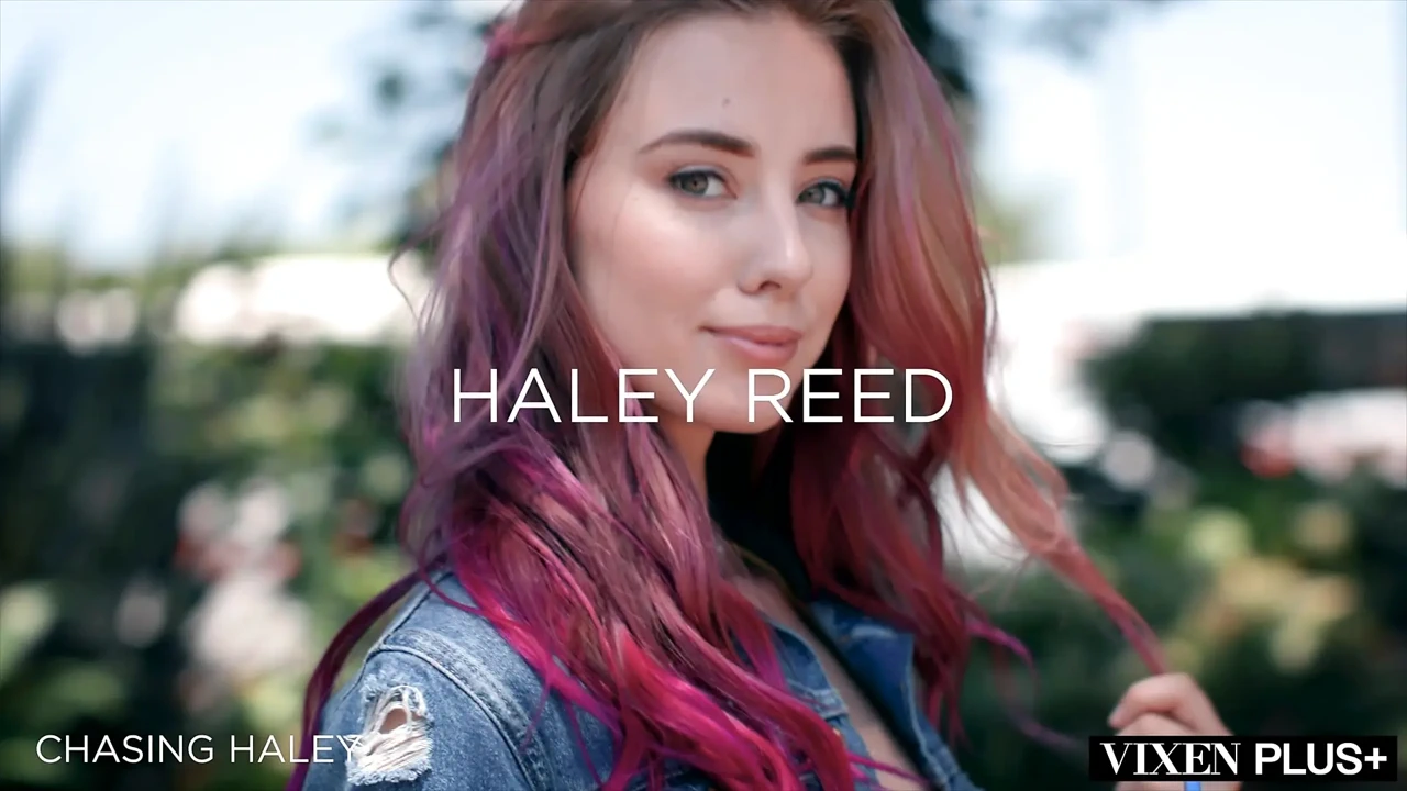 VixenPLUS 内海利汇编