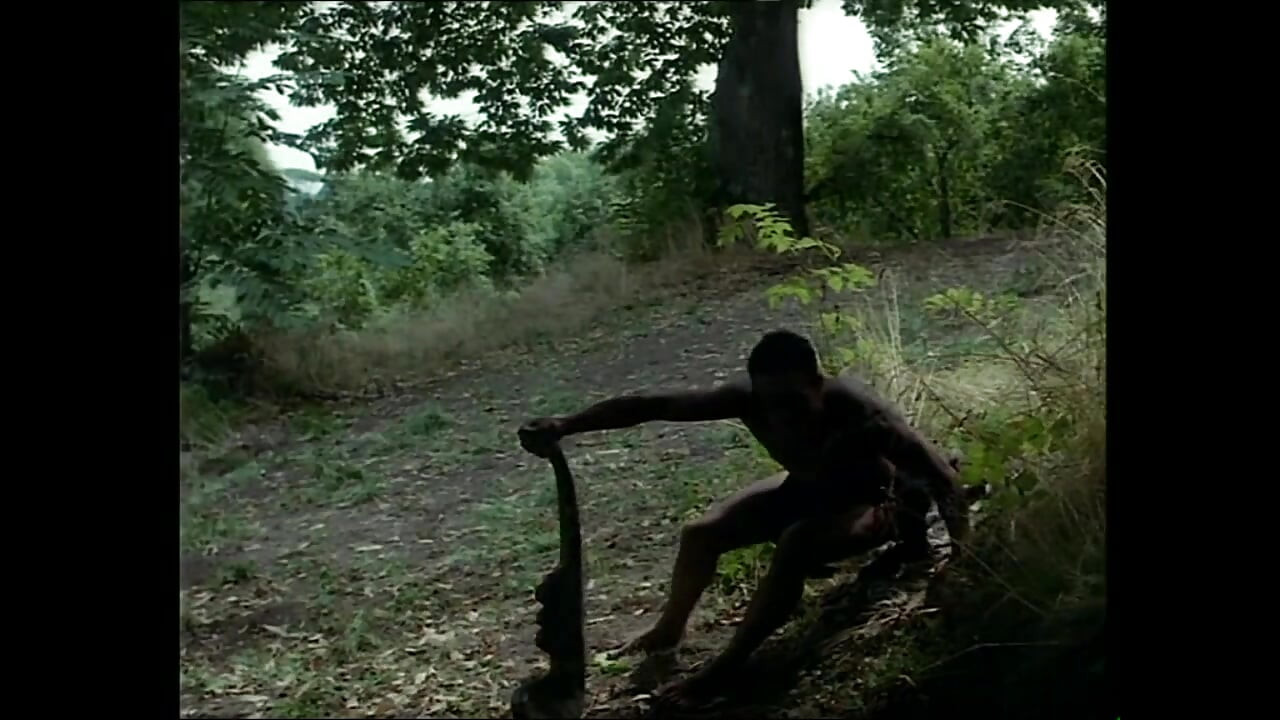 Zadirkivanje kurca