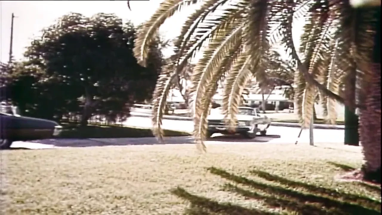 Deep Throat (1972)