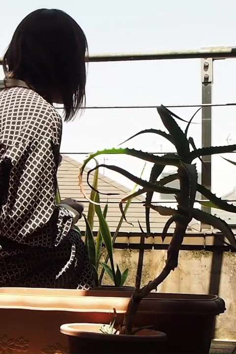 I Pee in the Potted Plant Again