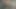 लोनी और गाइनो फेटिश