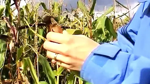 Massiver mais-schwanz, der klaffende muschi im freien weit offen dehnt