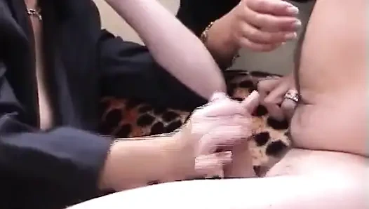 Zum damenvergnügen gemolken