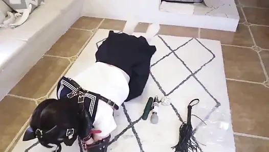 Одетая в японской одежде сдерживается и выпороли