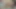 Stepsister gives blowjob again and gets a lot of cum in mouth