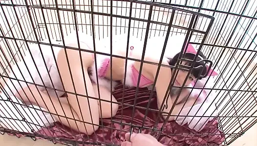 The Vibrator Does My Pussy Good