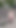 The horny whore offers herself in the park like she usually does in a brothel. Horny, shameless, and as  taboo-free slut