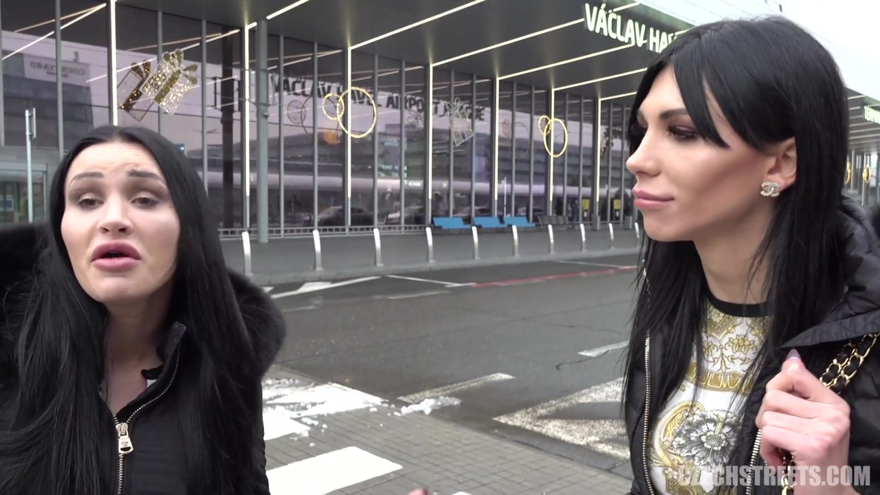 チェコの街 - ディックスとひよこ