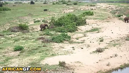 Sevimli zenci kız arkadaş halka açık bir parkta büyük beyaz yarakla sikiliyor