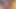 Close up FTM Arbryn Phoenyx solo masturbating to orgasm