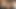 Seksi öğrenci hotkinkyjo beyaz oyuncak ayıyla mastürbasyon
