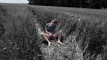 Previzualizare clip video
