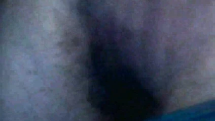 penis