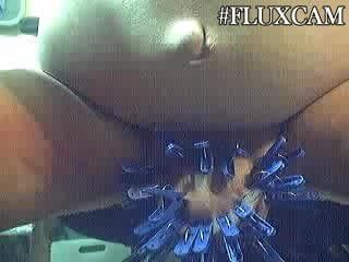 Fluxcam 2015-06-13 0803 поросенок с nflux