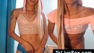 Travestis sexy mostrando sus culos sexy