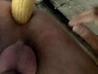 Corn on the cob introduced, Maiskolben eingefuehrt
