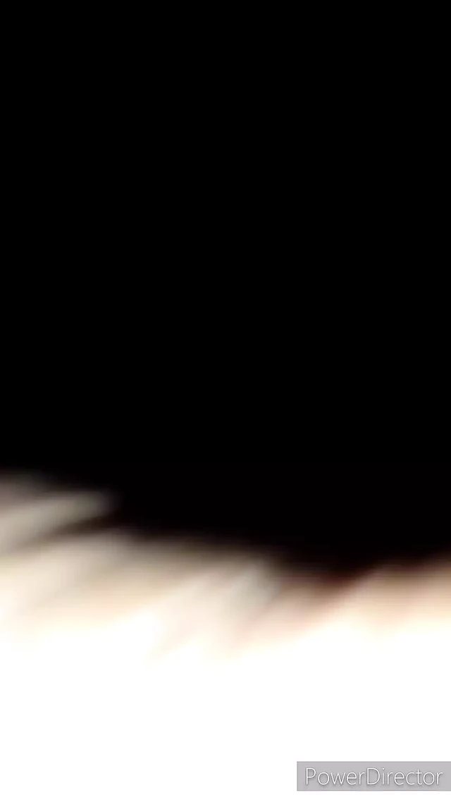 Ass Shaking