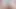 HUGE TITS AND ASS JOCKERS COCK: HOT TRANS
