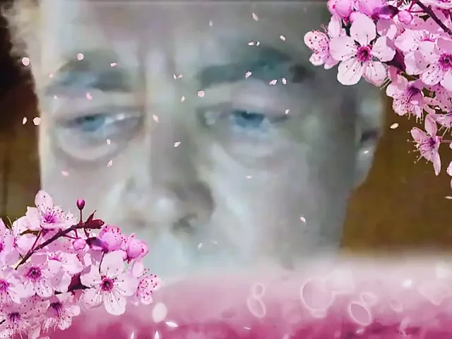 Daddy's Face