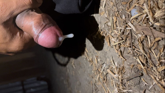 The village boy shook his cock a lot.