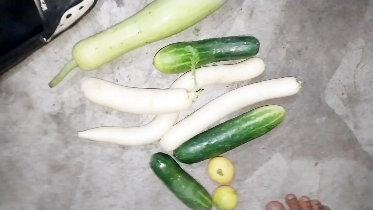 Big gourd. Fucking my ass with cucumber and lemon. Gay vaginal sex