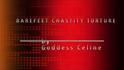 Foot Slave Training Pornstar