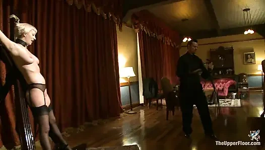 Pesta makan malam dari dom!