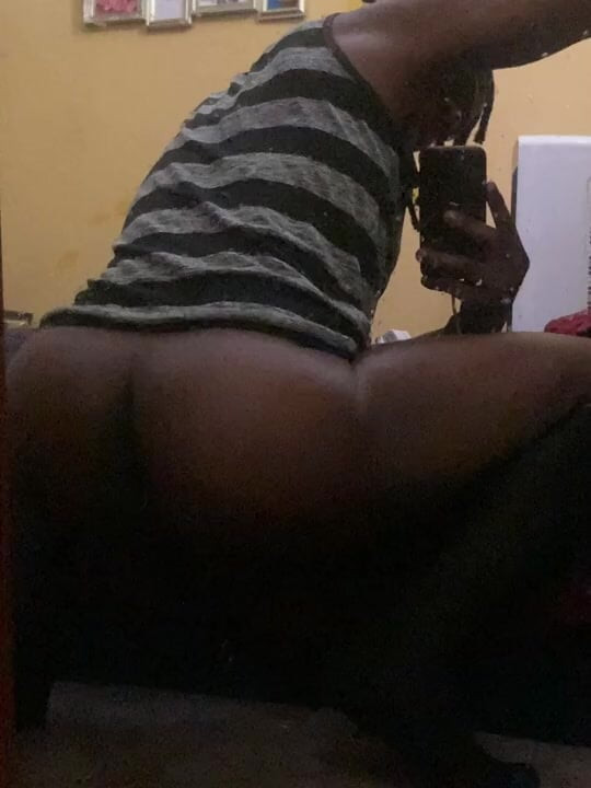 Shake that ass bitch