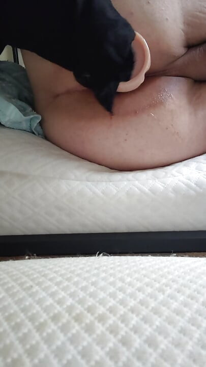 Sissy briella playing with her dildo